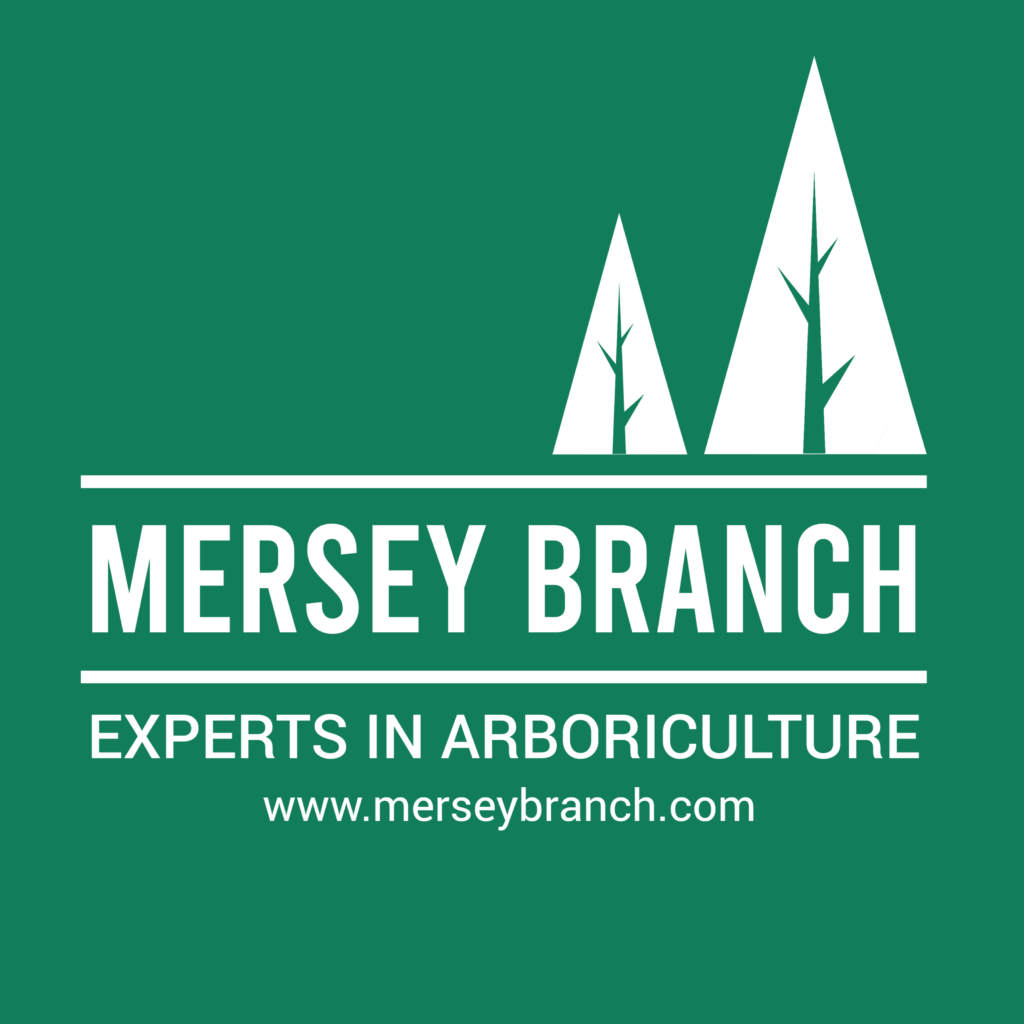 Christmas Tree Collection Wirral Hospice